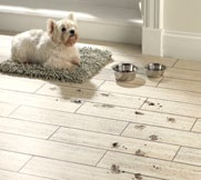Small white dog on a mat beside water bowls on a light wood-effect LVT floor